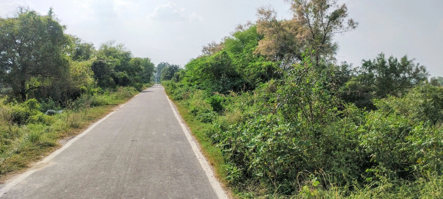 Nagla Chahar, Rajasthan 321203, India