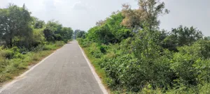 Nagla Chahar, Rajasthan 321203, India preview 3