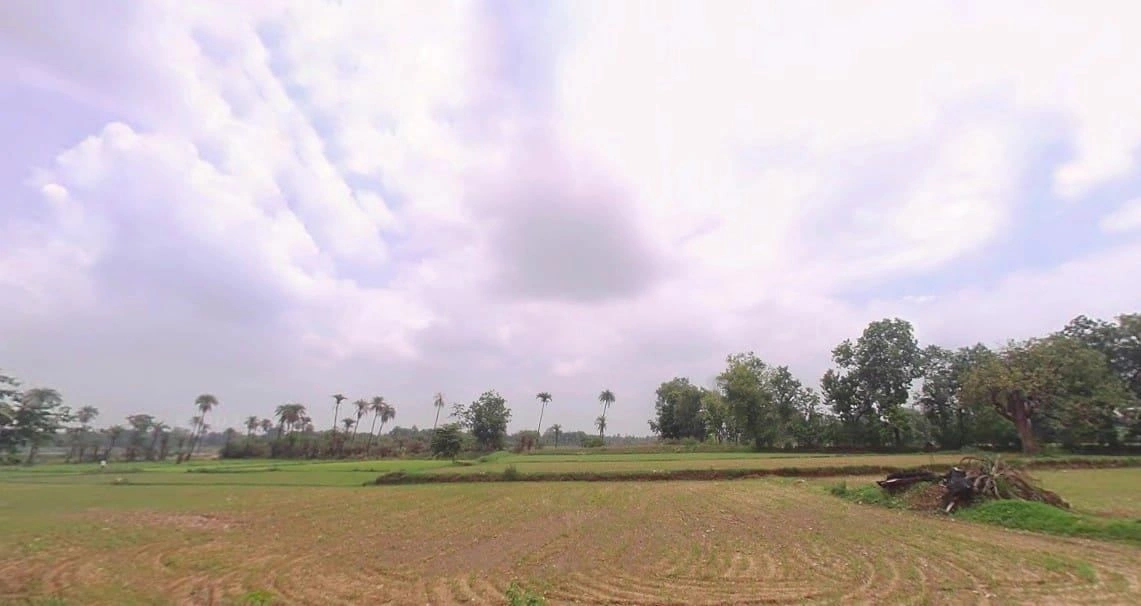 J5FR+QCG, Varwariya, Rajasthan 321022, India