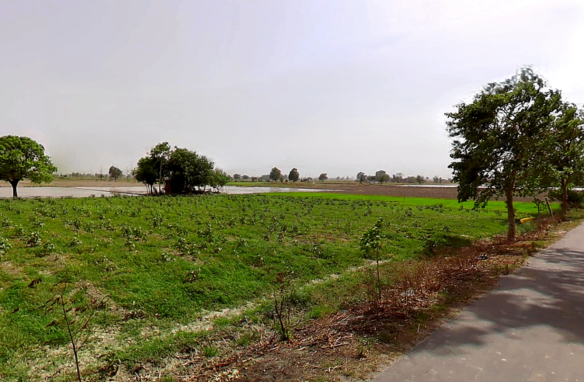 Bapauli, Haryana 132104, India