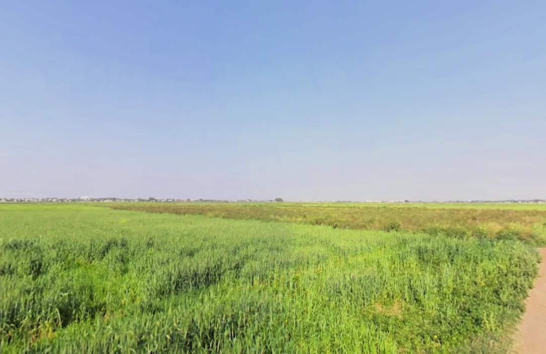 Zahidpur, Haryana 124103, India