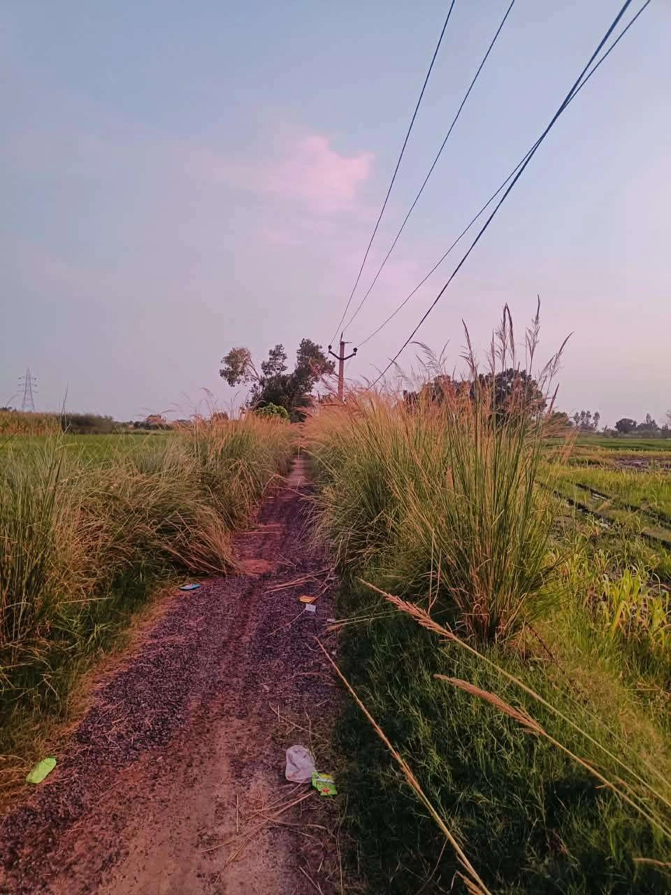 Baraka, Mathura, Uttar Pradesh, India