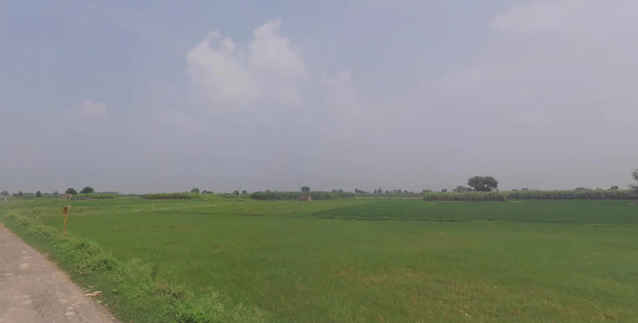 Anupshahar, Uttar Pradesh 203390, India