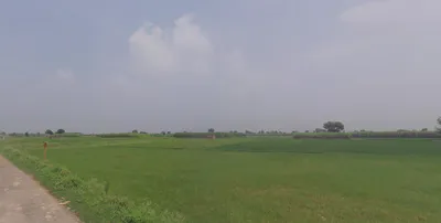 Anupshahar, Uttar Pradesh 203390, India preview 2