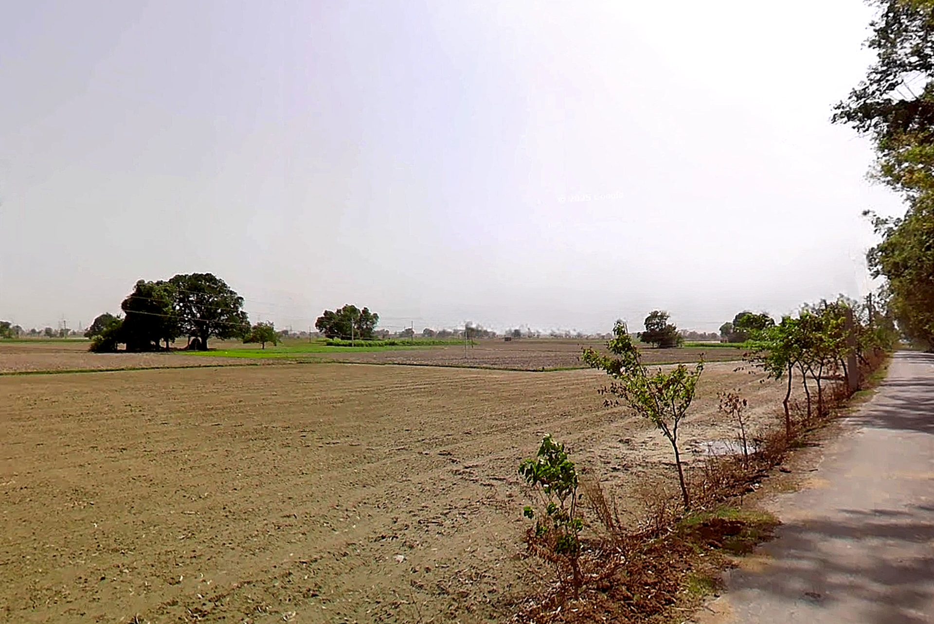 Bapauli, Haryana 132104, India