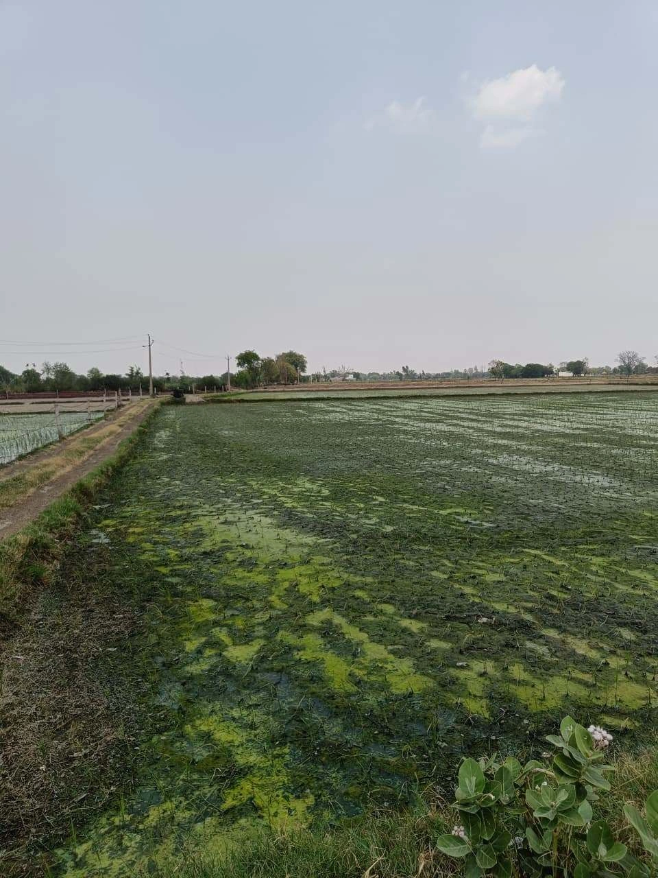 Gharwari, Rajasthan 321201, India