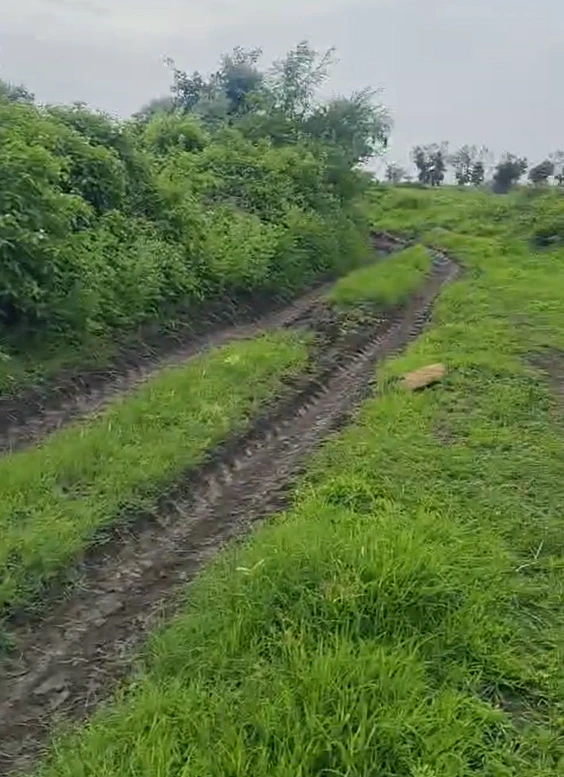 XRXG+CGJ, Indore, Barodiya Khan, Madhya Pradesh 453551, India - Photo 2