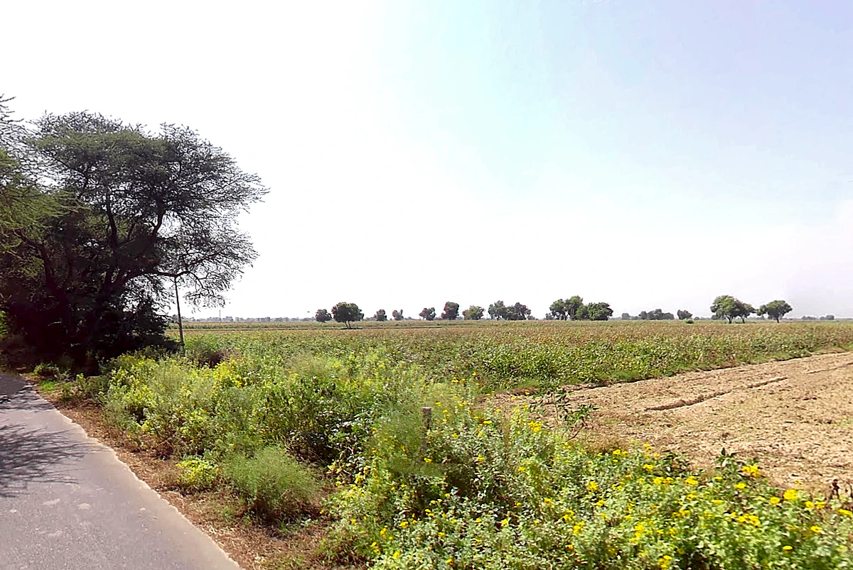 Naiwala, Haryana 125075, India