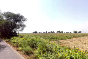 Naiwala, Haryana 125075, India preview 3