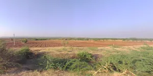 VQ3V+MR Dhabda, Gujarat, India preview 3