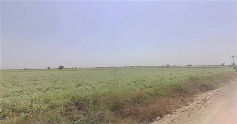 Degave, Maharashtra 416511, India