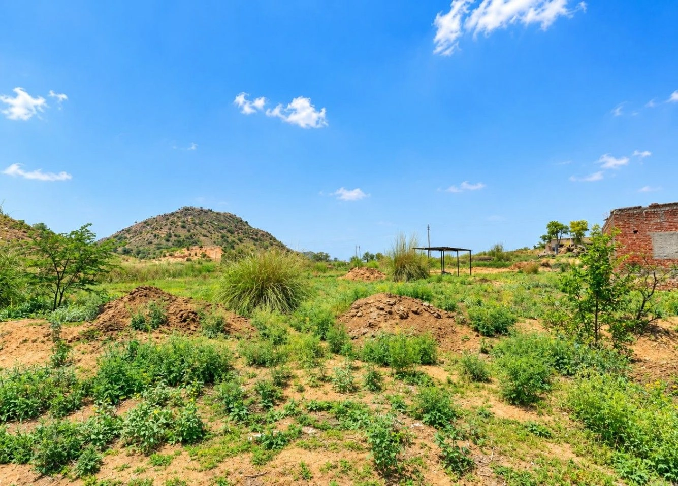 739G+6XF, Jaipur, Bobari - Gol Rd, Gol, Rajasthan 303120, India