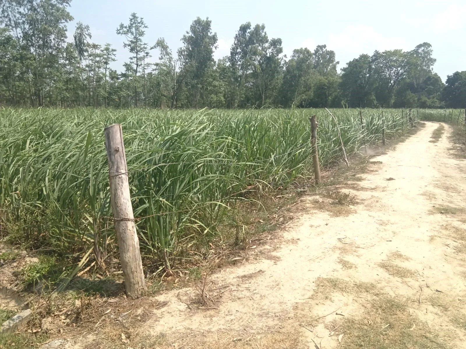 Bahargaon, Uttar Pradesh, India