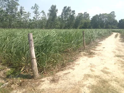 Bahargaon, Uttar Pradesh, India preview 2