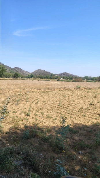 XVR6+2R6, Tajalka, Rajasthan 301411, India preview 3