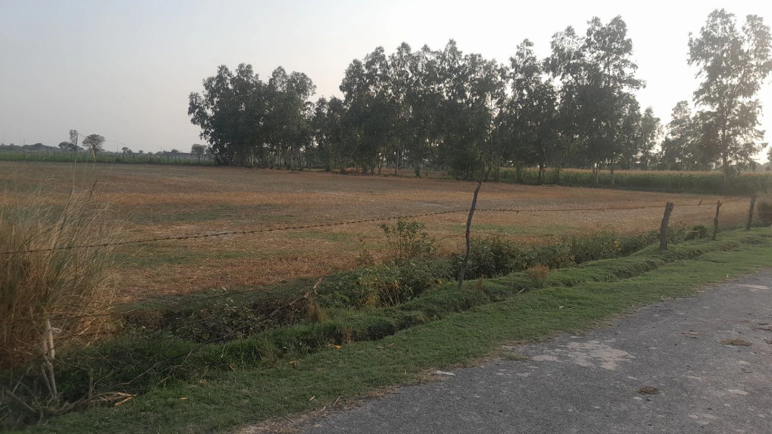 P56C+PX Bhadokhar, Uttar Pradesh, India