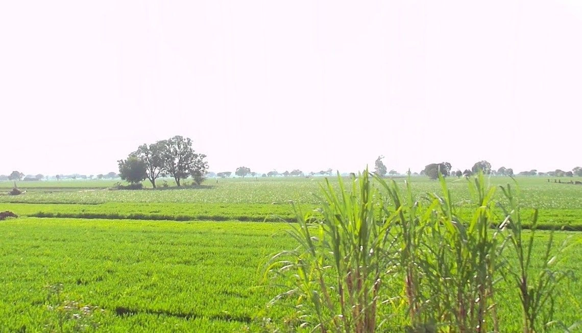 Bangrasia, Bhopal, Madhya Pradesh, India