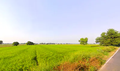 Umedpura, Haryana 125055, India preview 3