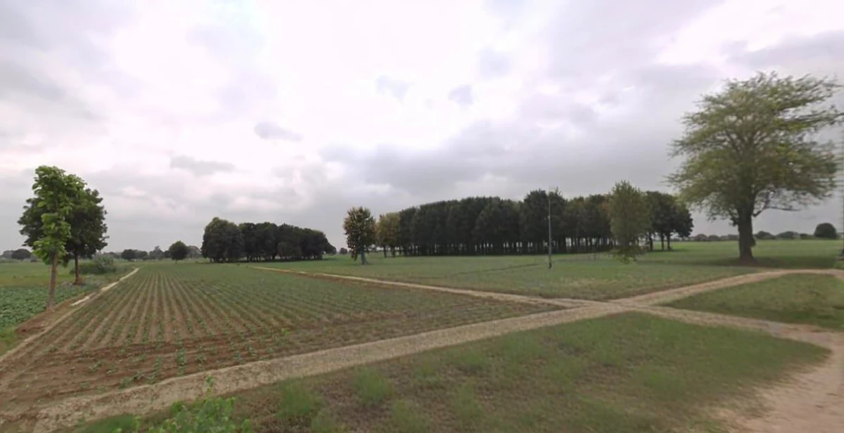 Itma, Madhya Pradesh 485441, India