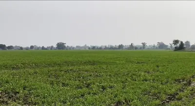 Keriakhedi, Madhya Pradesh 451224, India preview 3