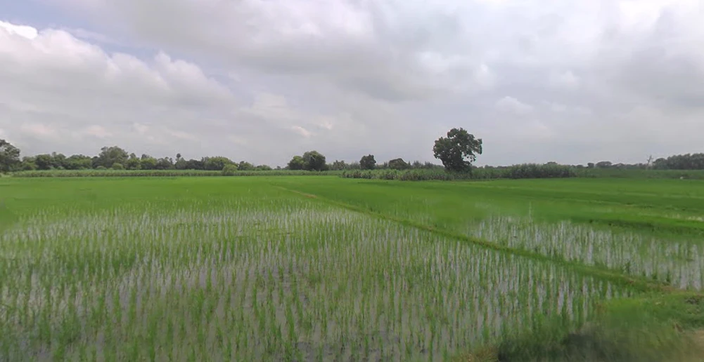 Pahasu, Uttar Pradesh 203396, India