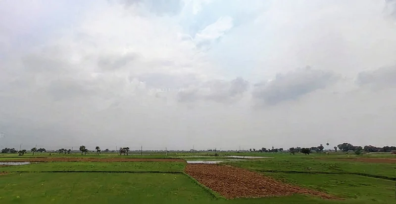 Sarmera, Bihar 811104, India preview 3