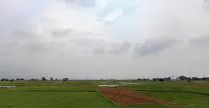 Sarmera, Bihar 811104, India preview 3