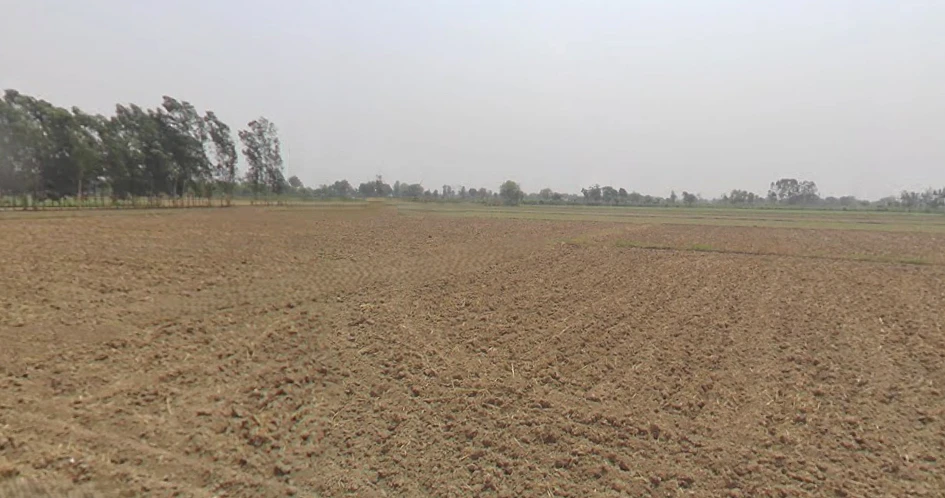 Siyana, Uttar Pradesh 203412, India