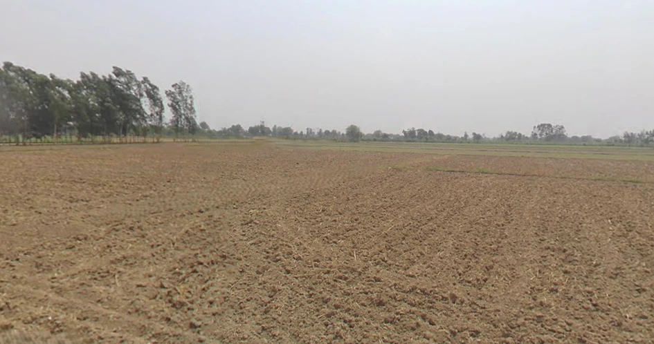 Siyana, Uttar Pradesh 203412, India