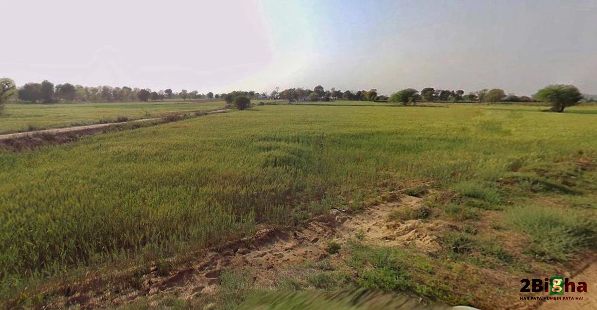 Chhatarpur, Madhya Pradesh 471001, India