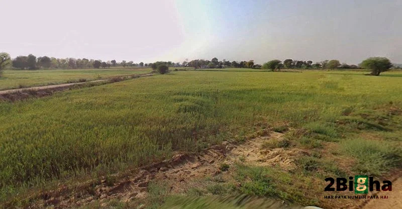 Chhatarpur, Madhya Pradesh 471001, India preview 3