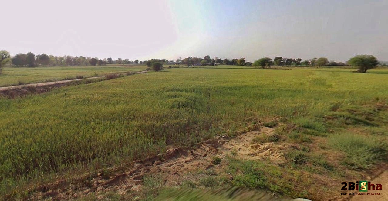 Chhatarpur, Madhya Pradesh 471001, India