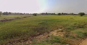 Chhatarpur, Madhya Pradesh 471001, India preview 3