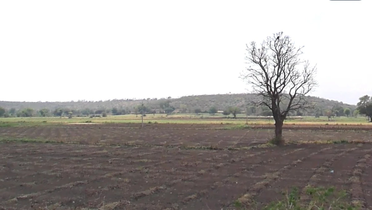 Kanadiya, Madhya Pradesh 452016, India