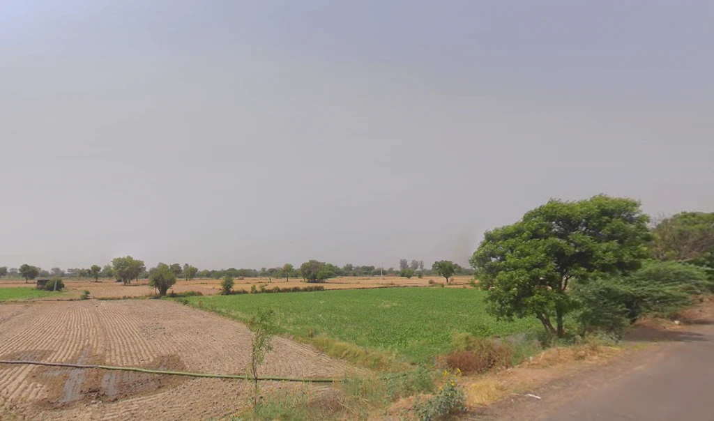 Fatehpuri, Haryana 124109, India