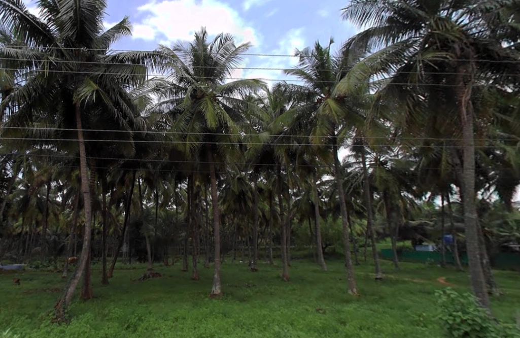 203, Palakkad - Koduvayur - Meenakshipuram Hwy, Meenakshipuram, Tamil Nadu 642103, India