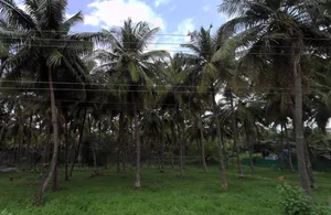 203, Palakkad - Koduvayur - Meenakshipuram Hwy, Meenakshipuram, Tamil Nadu 642103, India preview 3