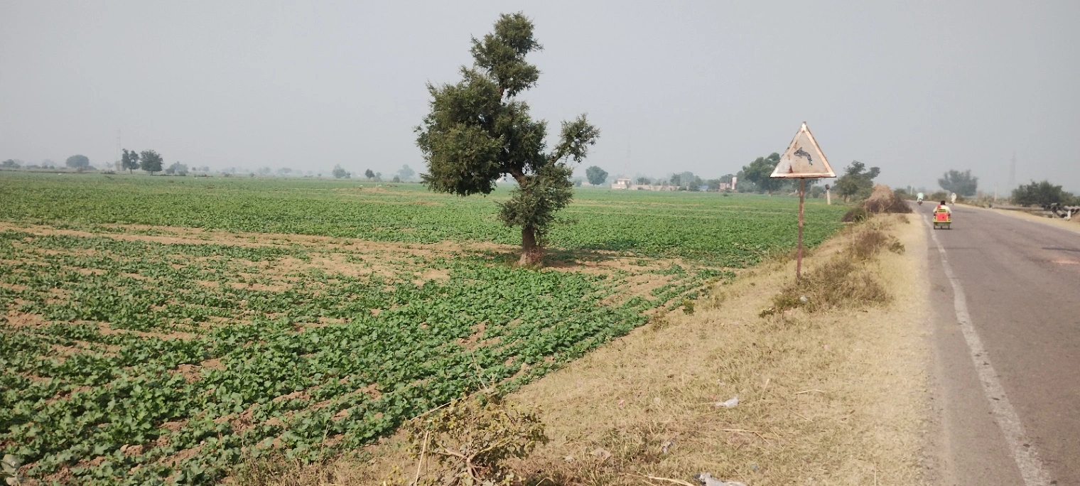 Didawali, Rajasthan 321203, India