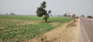 Didawali, Rajasthan 321203, India preview 2