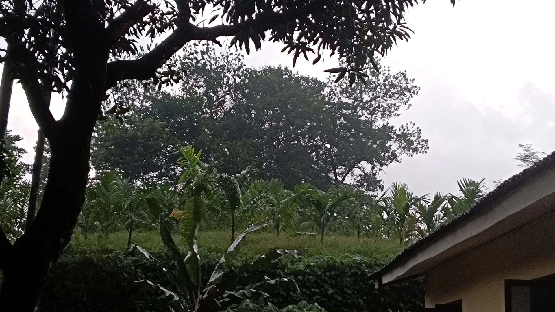 WCF7+4XJ, Dakshina Kannada, Belthangady, Karnataka, India