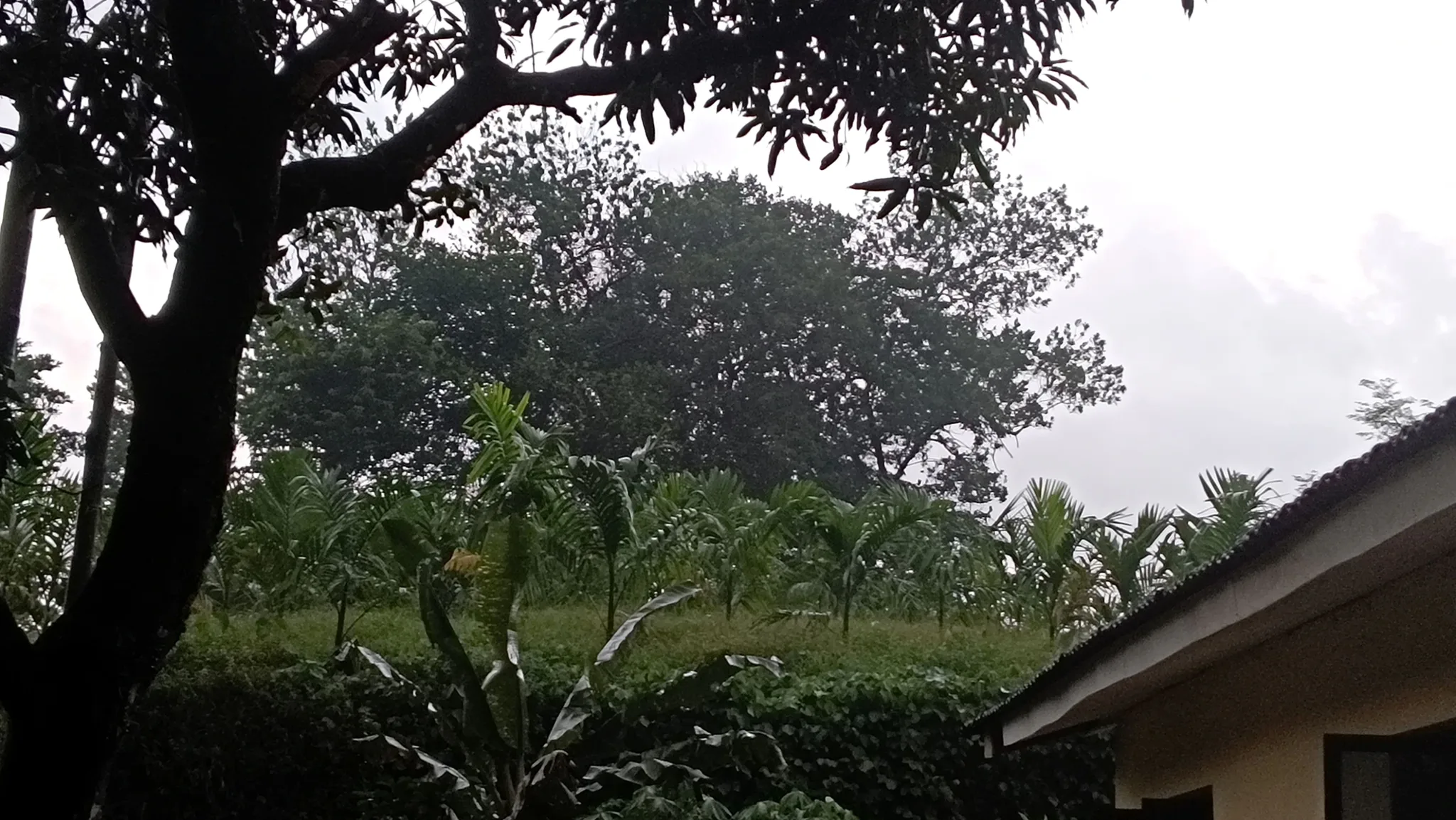 WCF7+4XJ, Dakshina Kannada, Belthangady, Karnataka, India