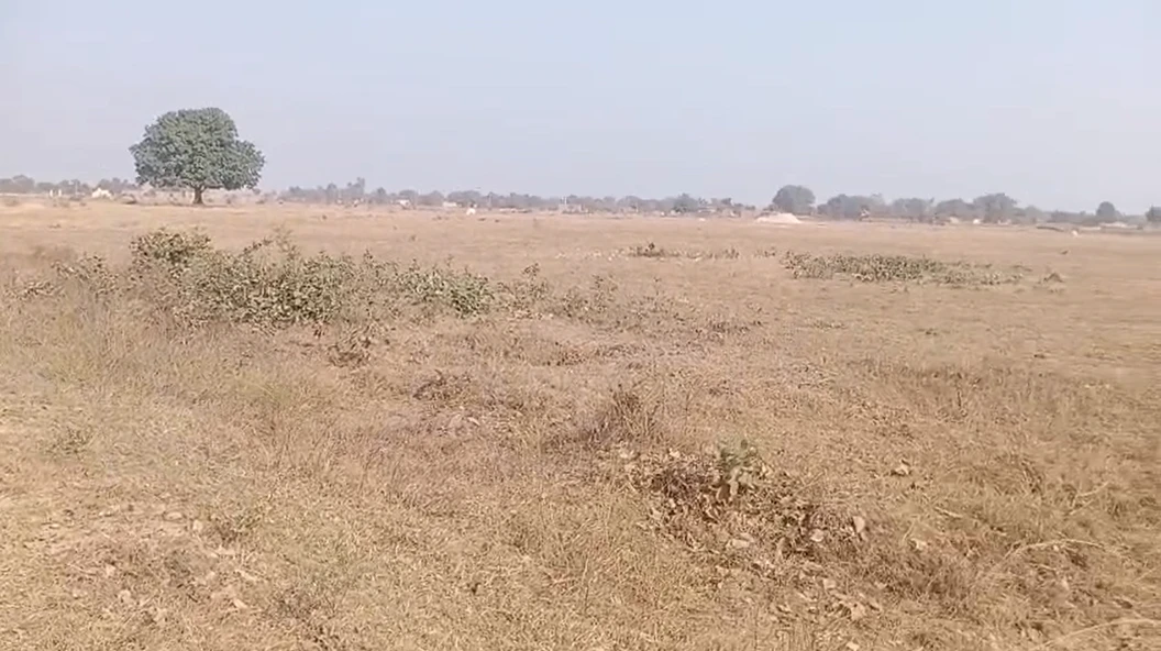 Prayagraj, Uttar Pradesh, India