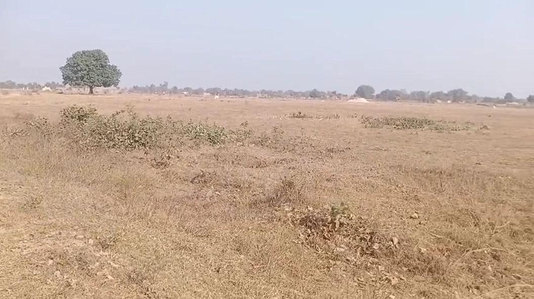 Prayagraj, Uttar Pradesh, India