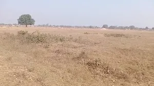 Prayagraj, Uttar Pradesh, India preview 2