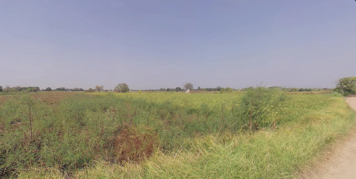 Singa Patti, Uttar Pradesh 281123, India