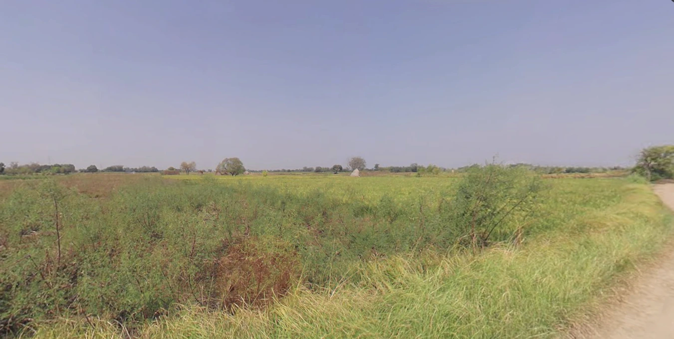 Singa Patti, Uttar Pradesh 281123, India