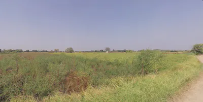 Singa Patti, Uttar Pradesh 281123, India preview 3