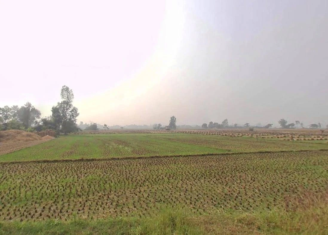 X3W6+FP Koraon, Uttar Pradesh, India