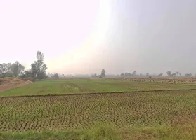 X3W6+FP Koraon, Uttar Pradesh, India preview 2