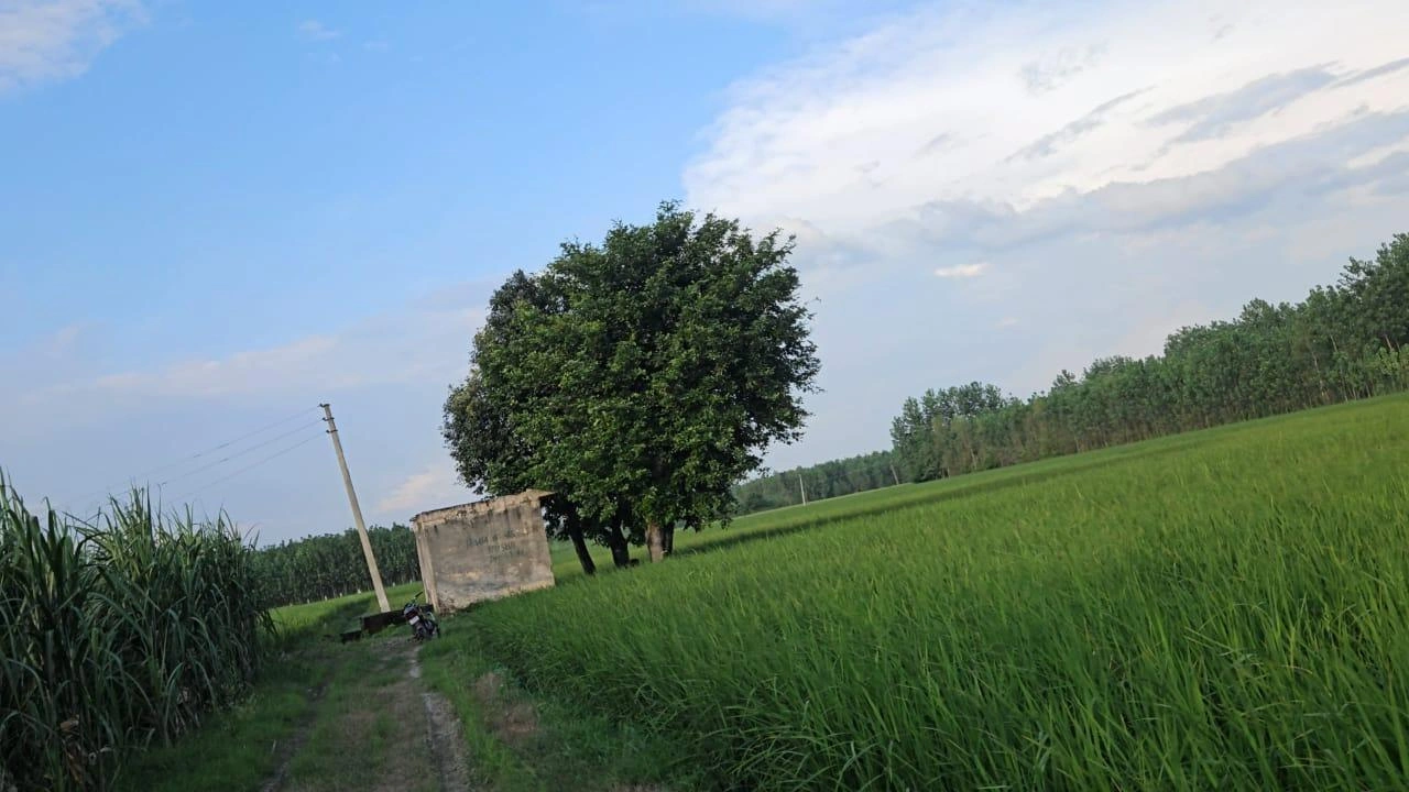 Saharanpur, Uttar Pradesh, India